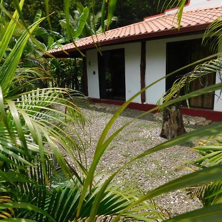 Villas Jungle 5 Samara Ngoại thất bức ảnh