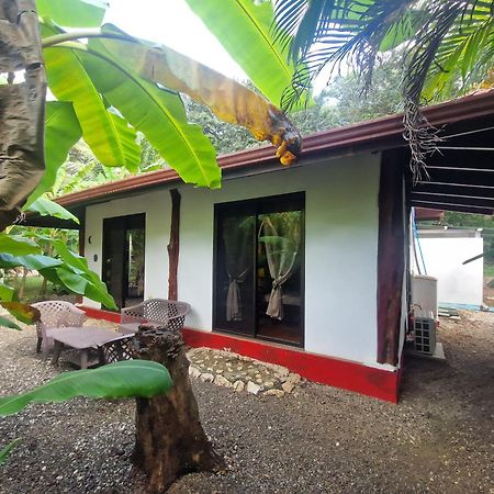 Villas Jungle 5 Samara Ngoại thất bức ảnh