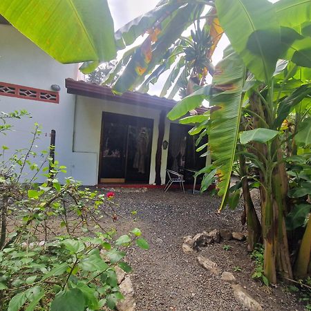 Villas Jungle 5 Samara Ngoại thất bức ảnh