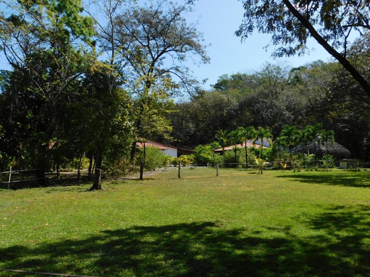 Villas Jungle 5 Samara Ngoại thất bức ảnh