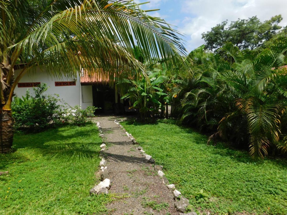 Villas Jungle 5 Samara Ngoại thất bức ảnh