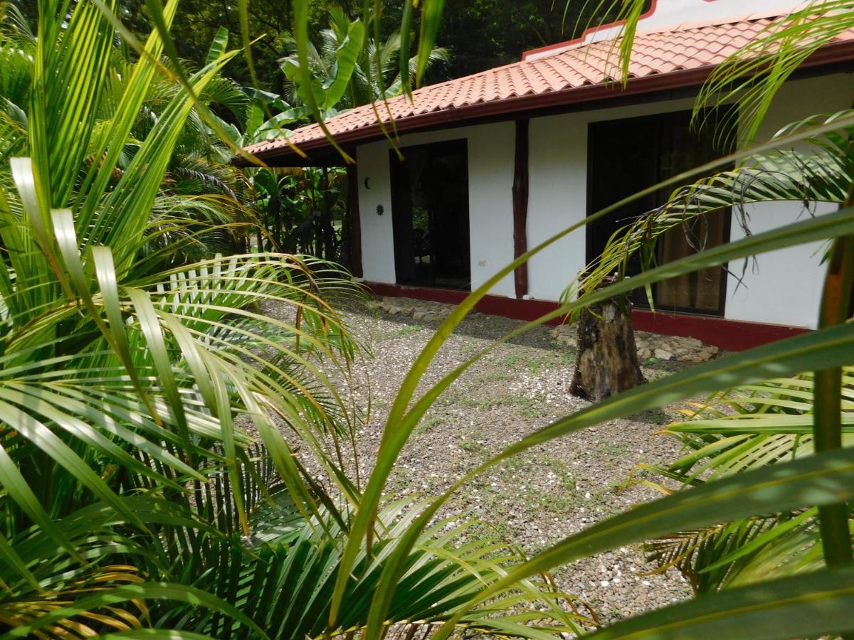 Villas Jungle 5 Samara Ngoại thất bức ảnh