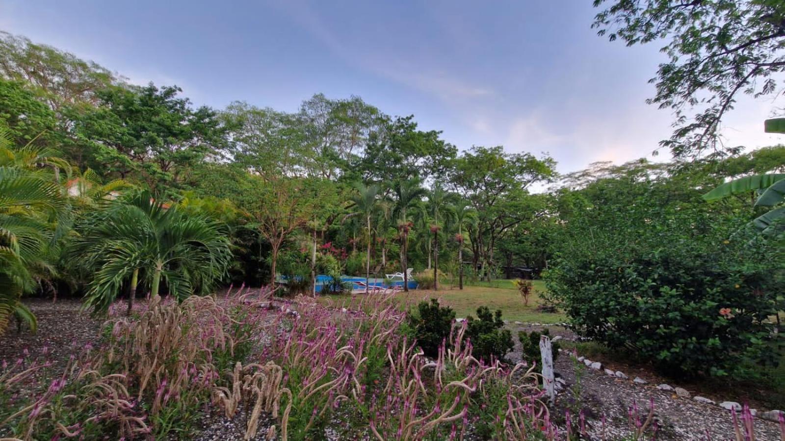 Villas Jungle 5 Samara Ngoại thất bức ảnh