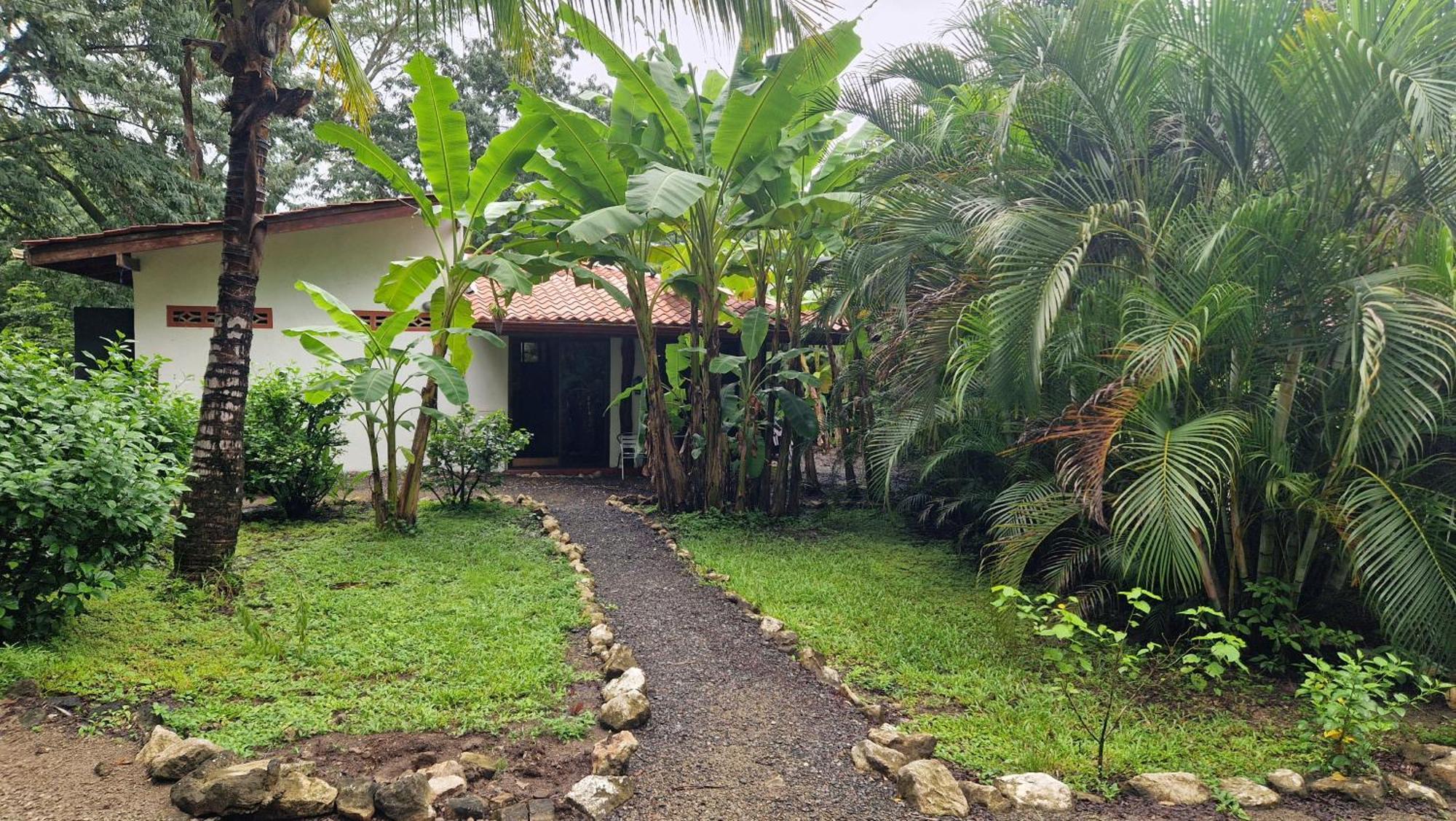 Villas Jungle 5 Samara Ngoại thất bức ảnh