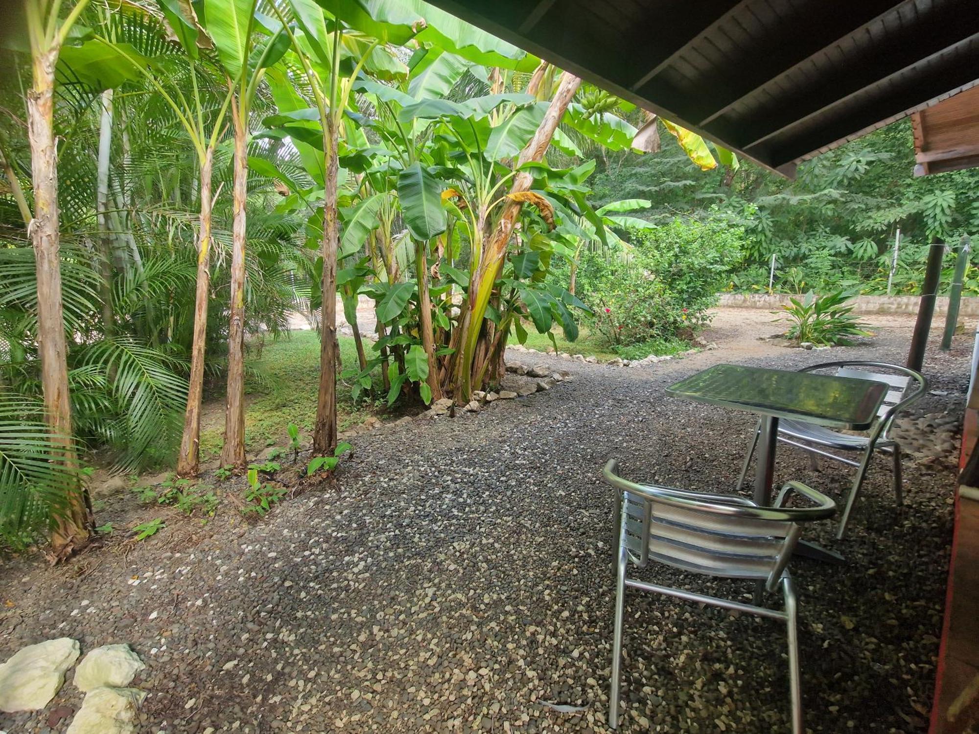 Villas Jungle 5 Samara Ngoại thất bức ảnh